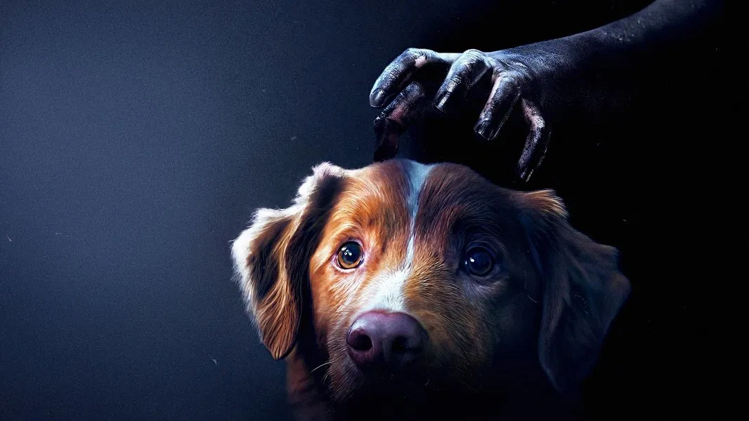 پسر خوب-cover-image