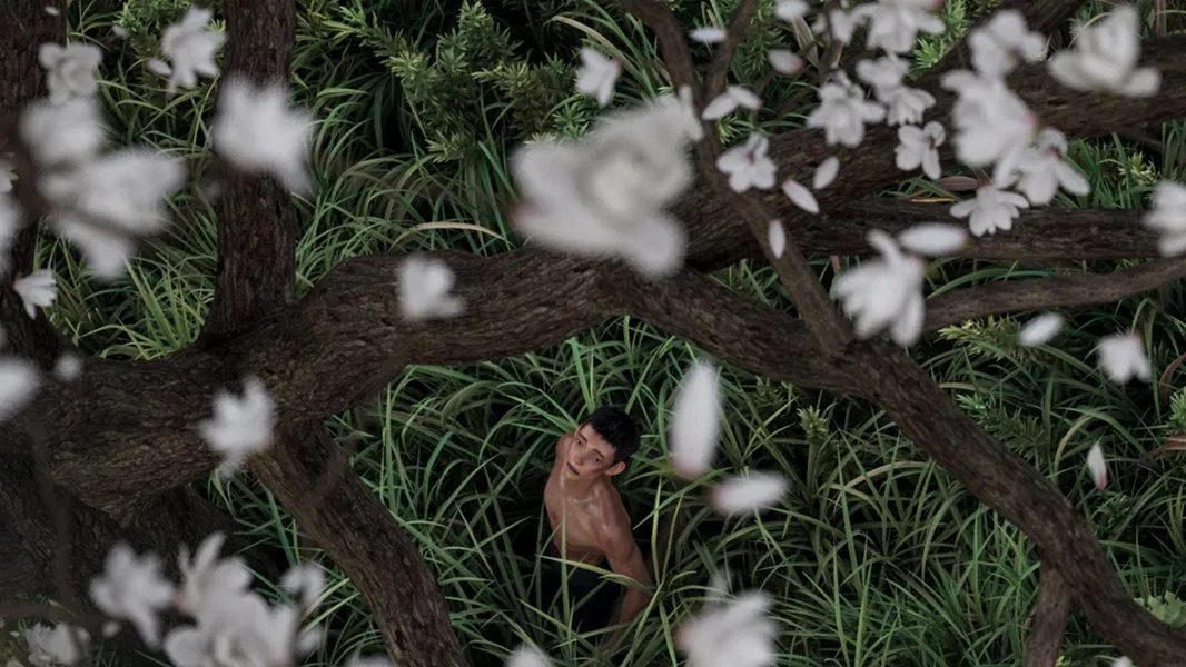 I Am What I Am 2-cover-image