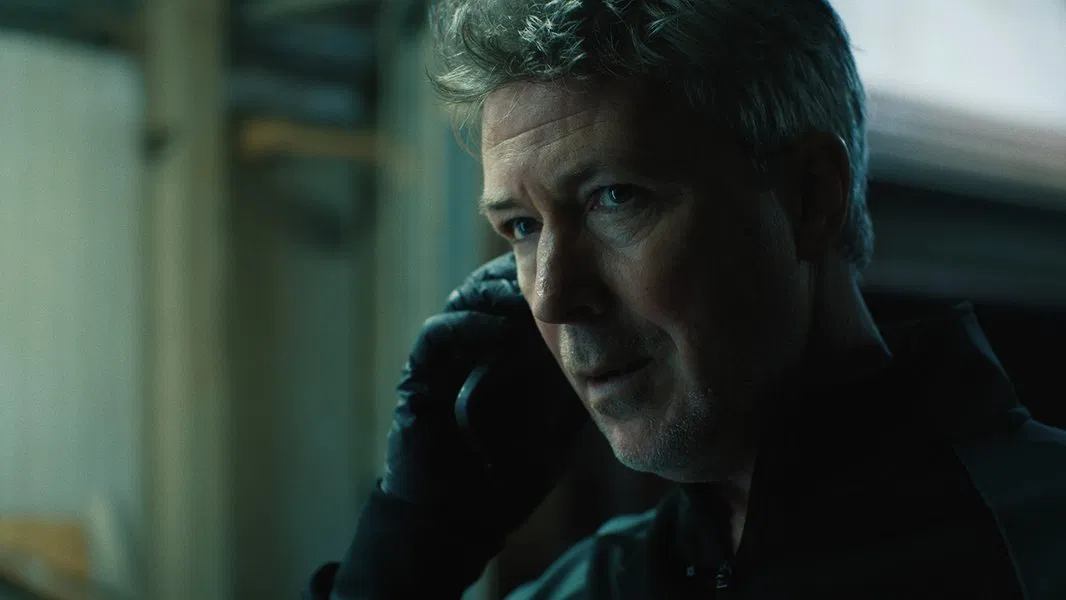 در میان گرگها-cover-image