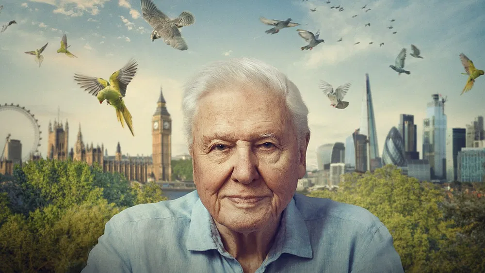 لندن وحشی-cover-image