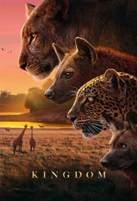 Kingdom-thumbnail